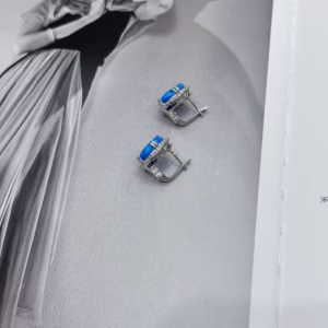 Серебряные серьги с опалом 5.19ct